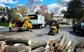 Best Utility Line Clearance  in Forest Heights, MD